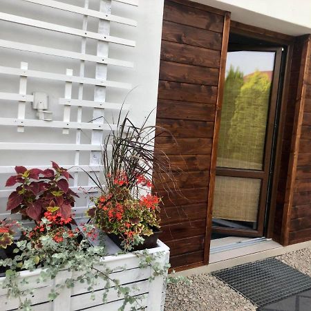 Apartament Studio I Apartament Zadomek Spytkowice Kolo Zatora Kültér fotó